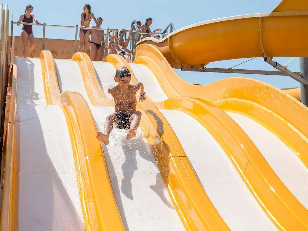 Camping Les Palmiers Hyères